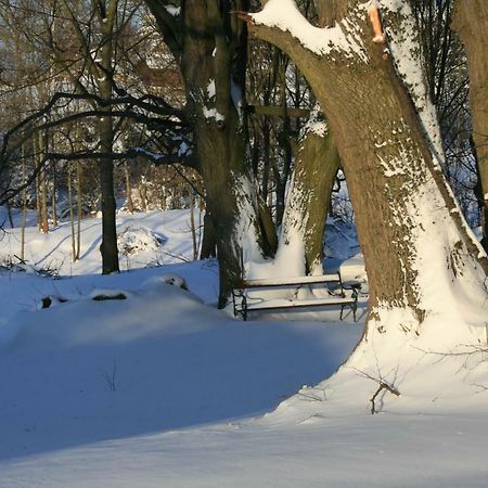 Bed and Breakfast Somhegyi Oereg Harsfak Major Vendeghaz Баконьбель Экстерьер фото