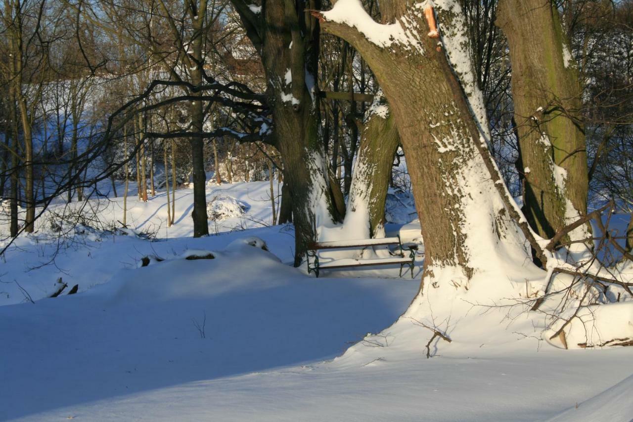 Bed and Breakfast Somhegyi Oereg Harsfak Major Vendeghaz Баконьбель Экстерьер фото